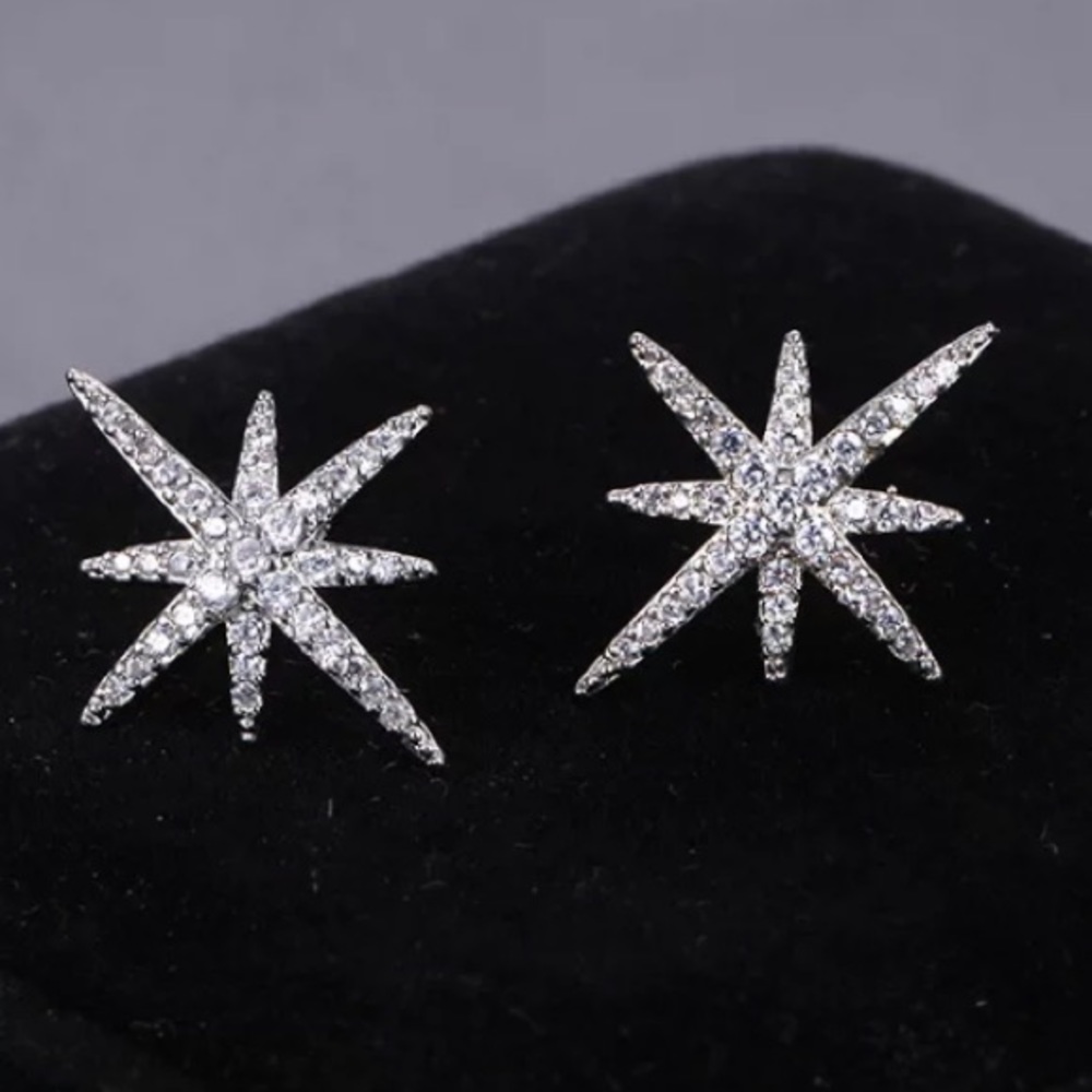 North Star ⭐️ earrings - Picture 3 of 6